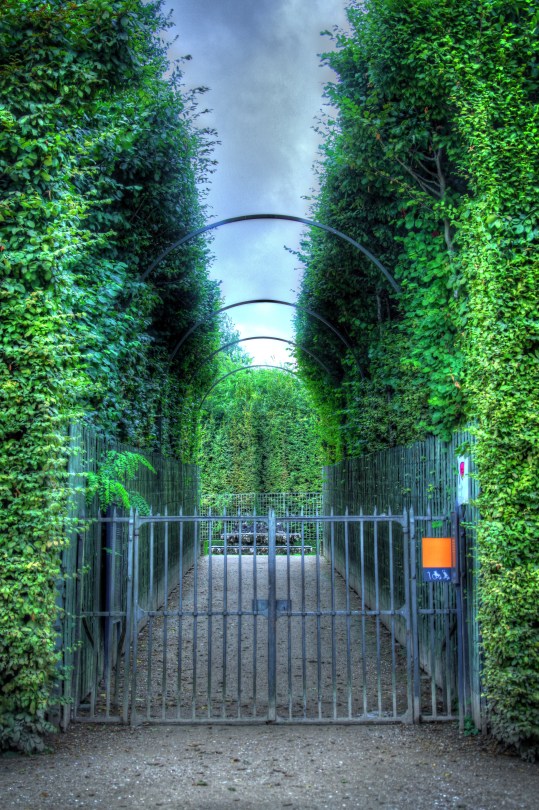 The Amazing Maze Get