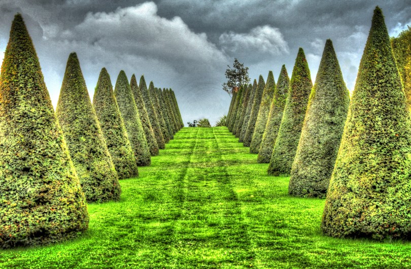 Evergreen soldiers guard the Palace