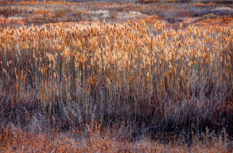 Autumn's Color Palette