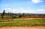 Soweto Township