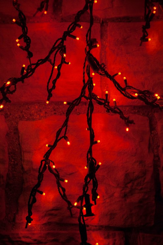 The Color of Christmas