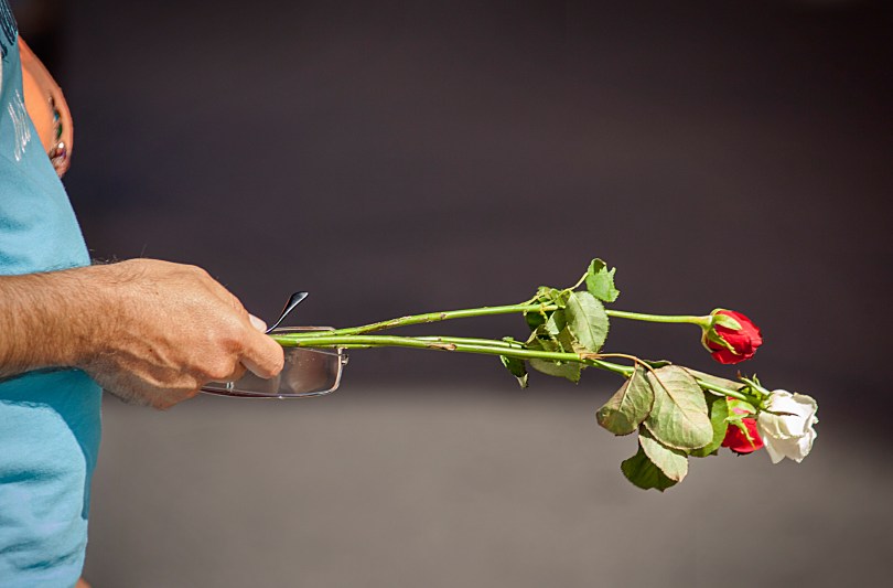 Roses and Romance in Rome