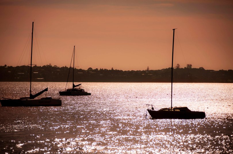 Auckland Sailboats