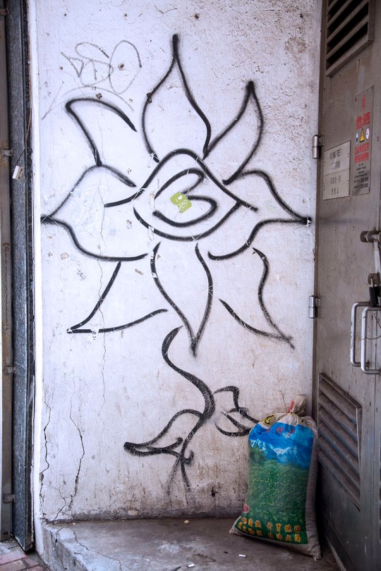 Flower Graphiti
