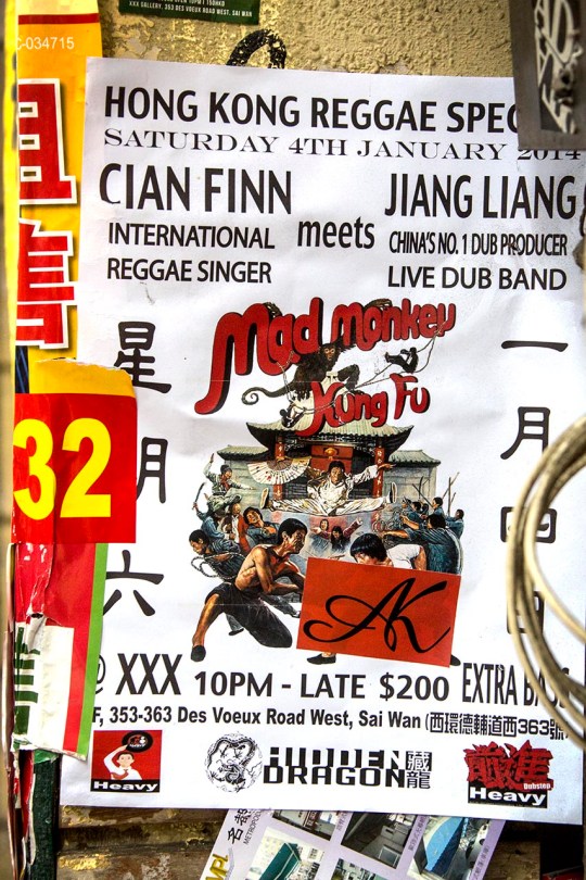 Reggae Kung Fu Action