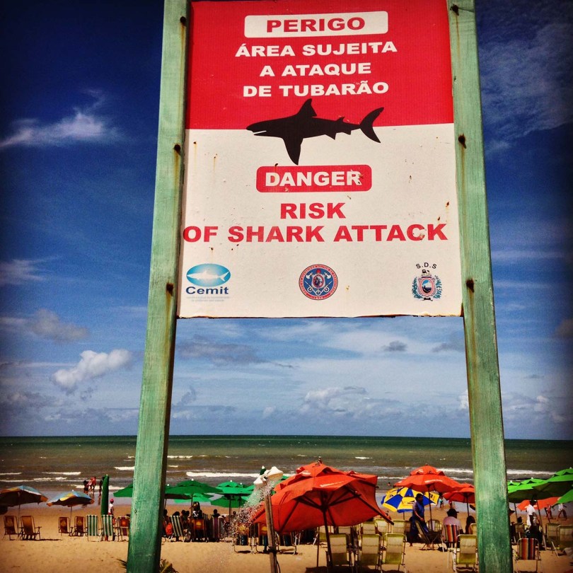 Brazilian sharks.