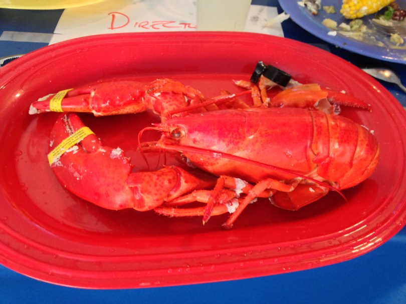 Maine Lobster