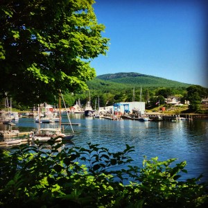 Camden Harbor is beautiful, through  the trees.