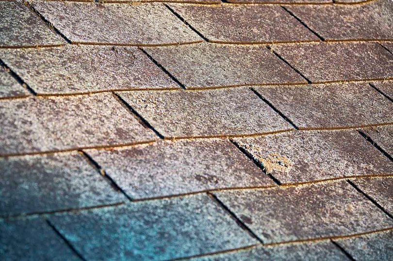 Roof Shingles