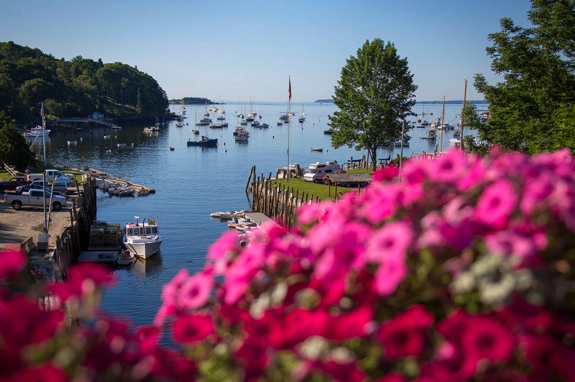 Rockport Harbor flowers