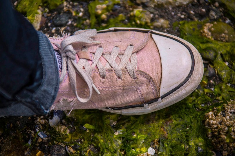 Seaweed and shoes.