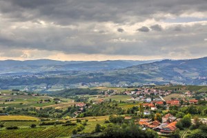 _MGL8083_4_5_Beaujolais Wine Country