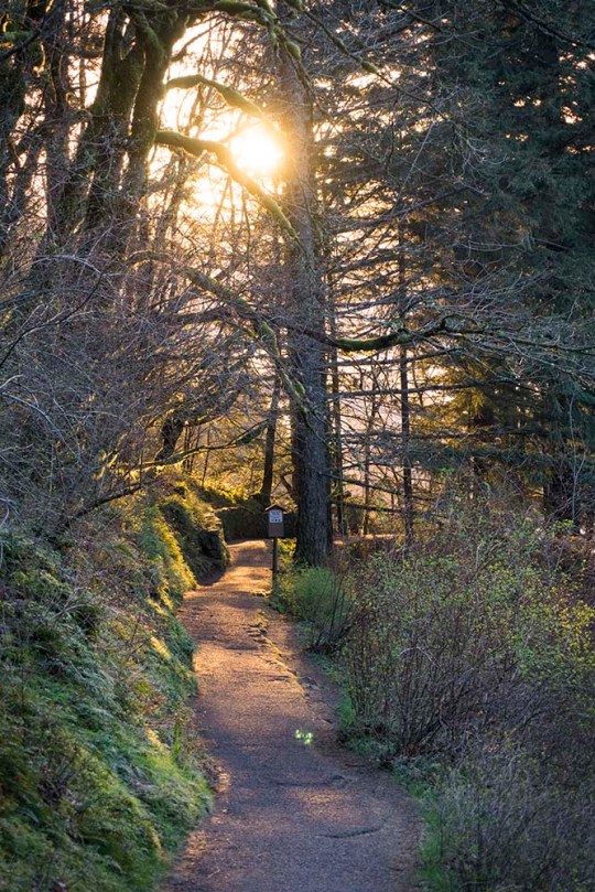 Multnomah Falls Trail