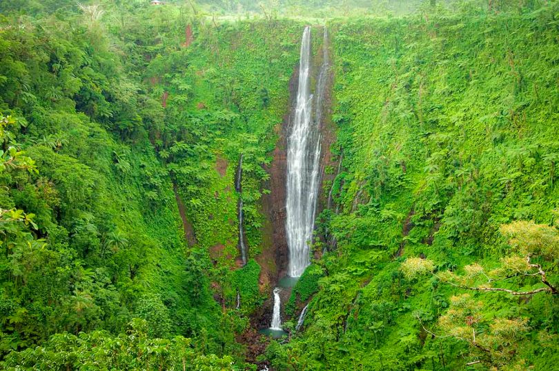 Samoa Waterfall
