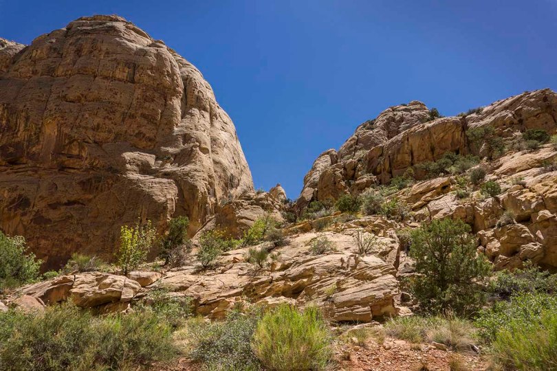 Towering sentinels of Capitol Reef.