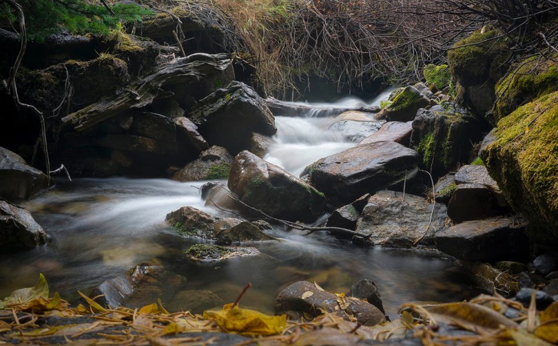 Mountain stream, American Fork Canyon.