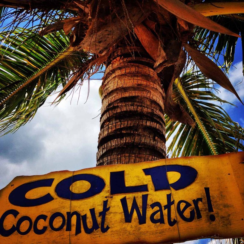 Cold Coconut Water