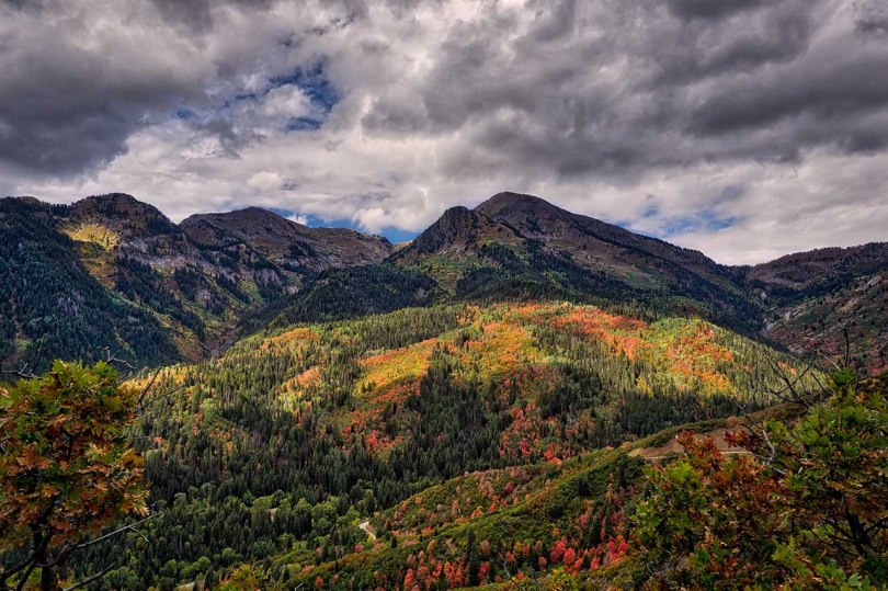 Wasatch fall colors.