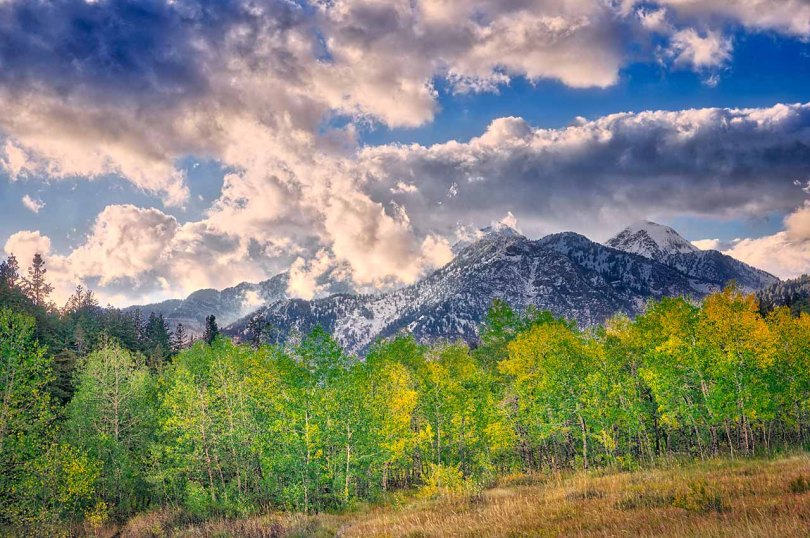 High Mountain Meadow.