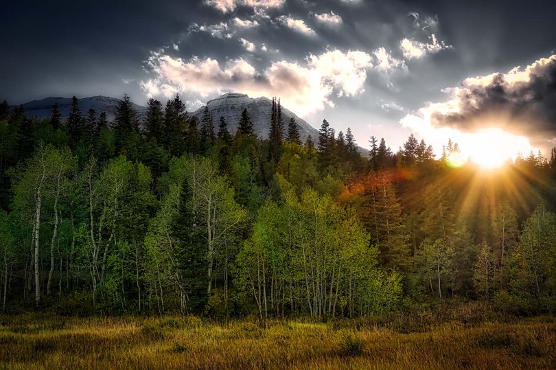 Aspens, Evergreens and Mountains.